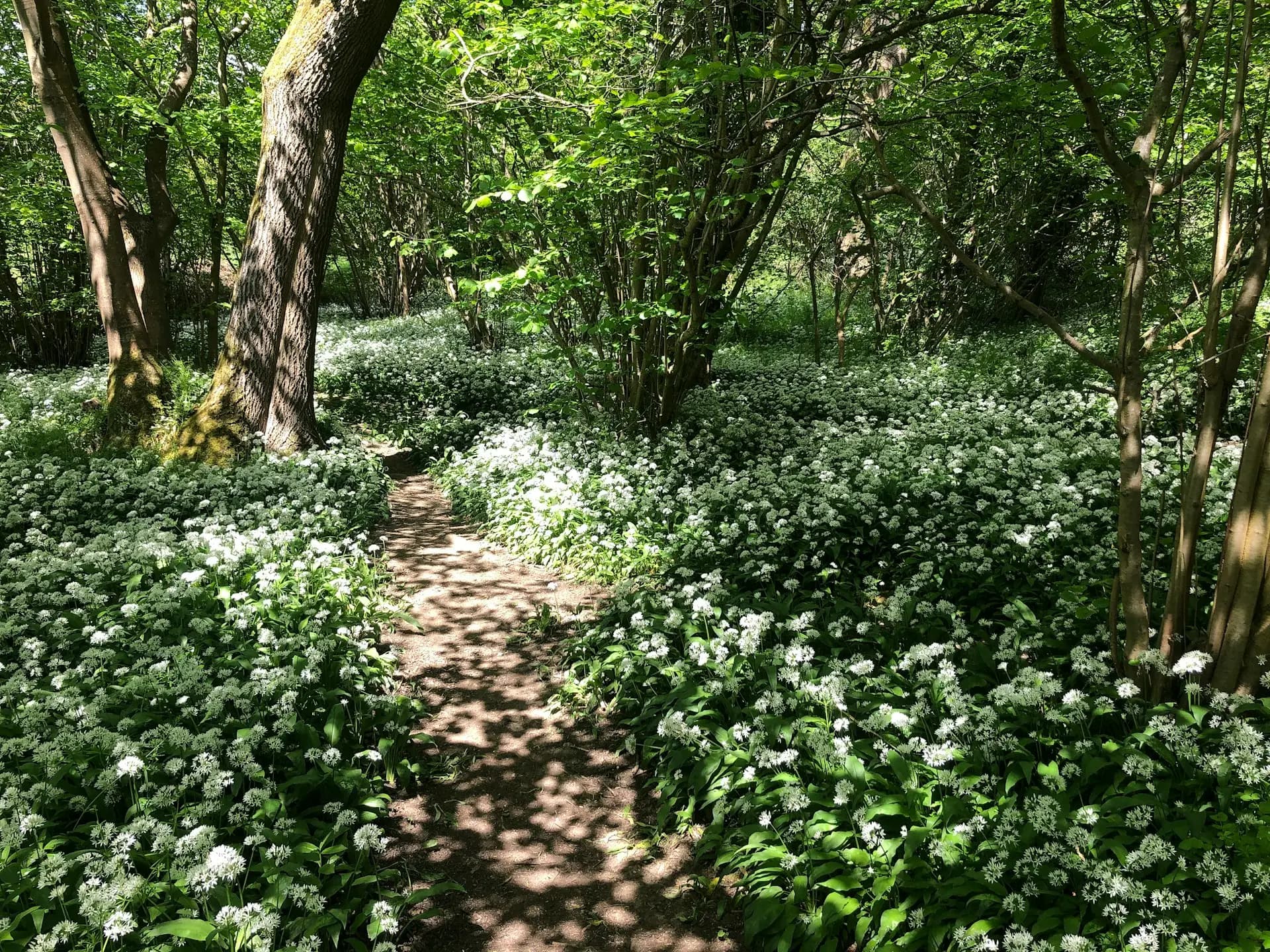 Ultimate Guide to Cotswold Way